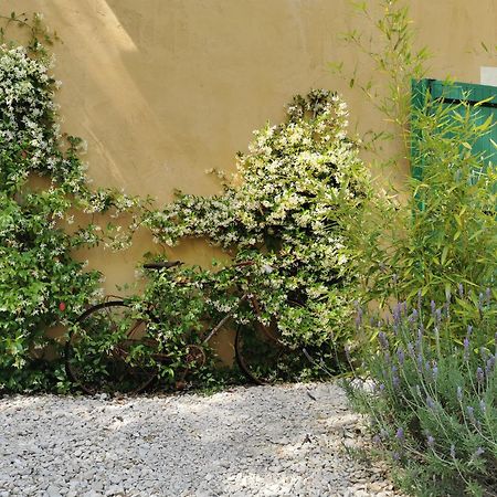 Lavand'Ange Et Spa Сариан Екстериор снимка