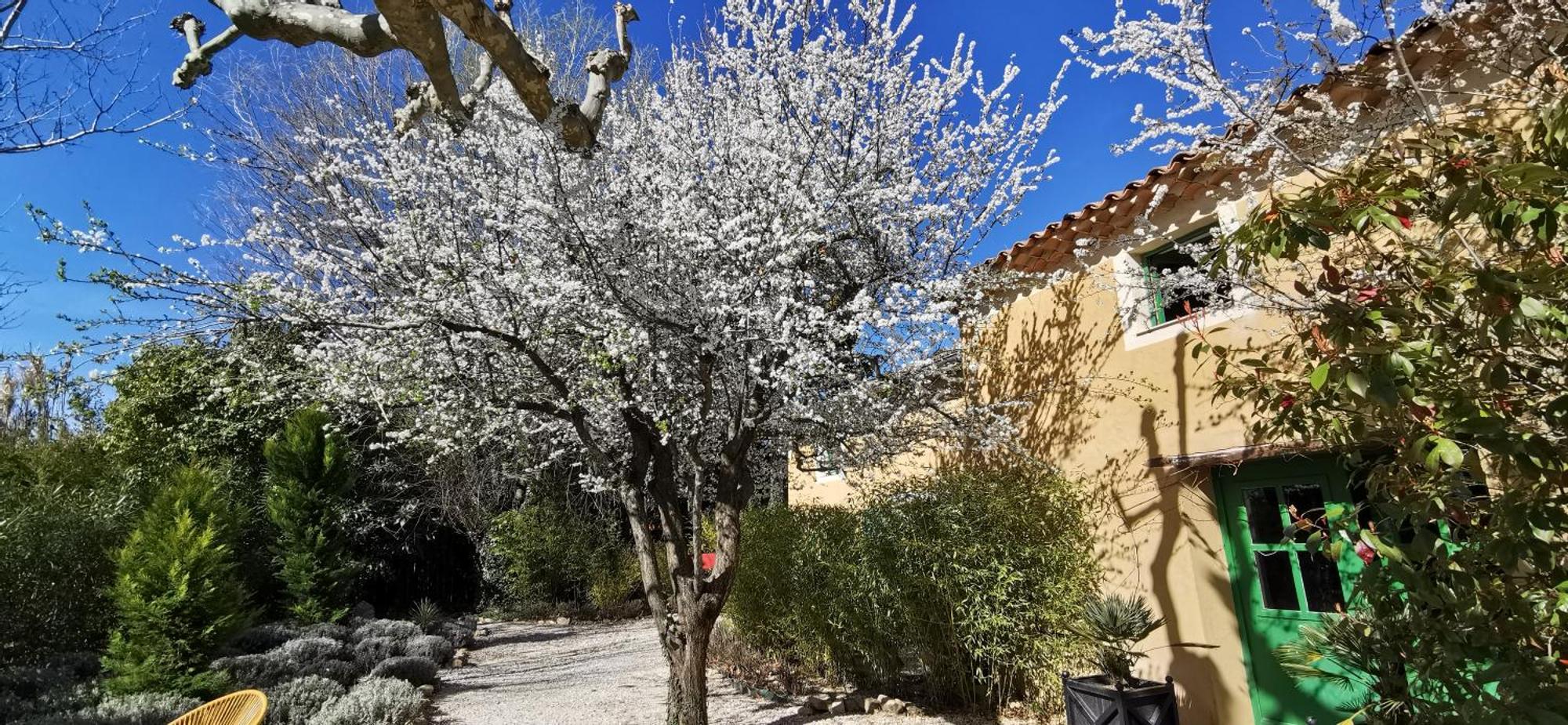 Lavand'Ange Et Spa Сариан Екстериор снимка
