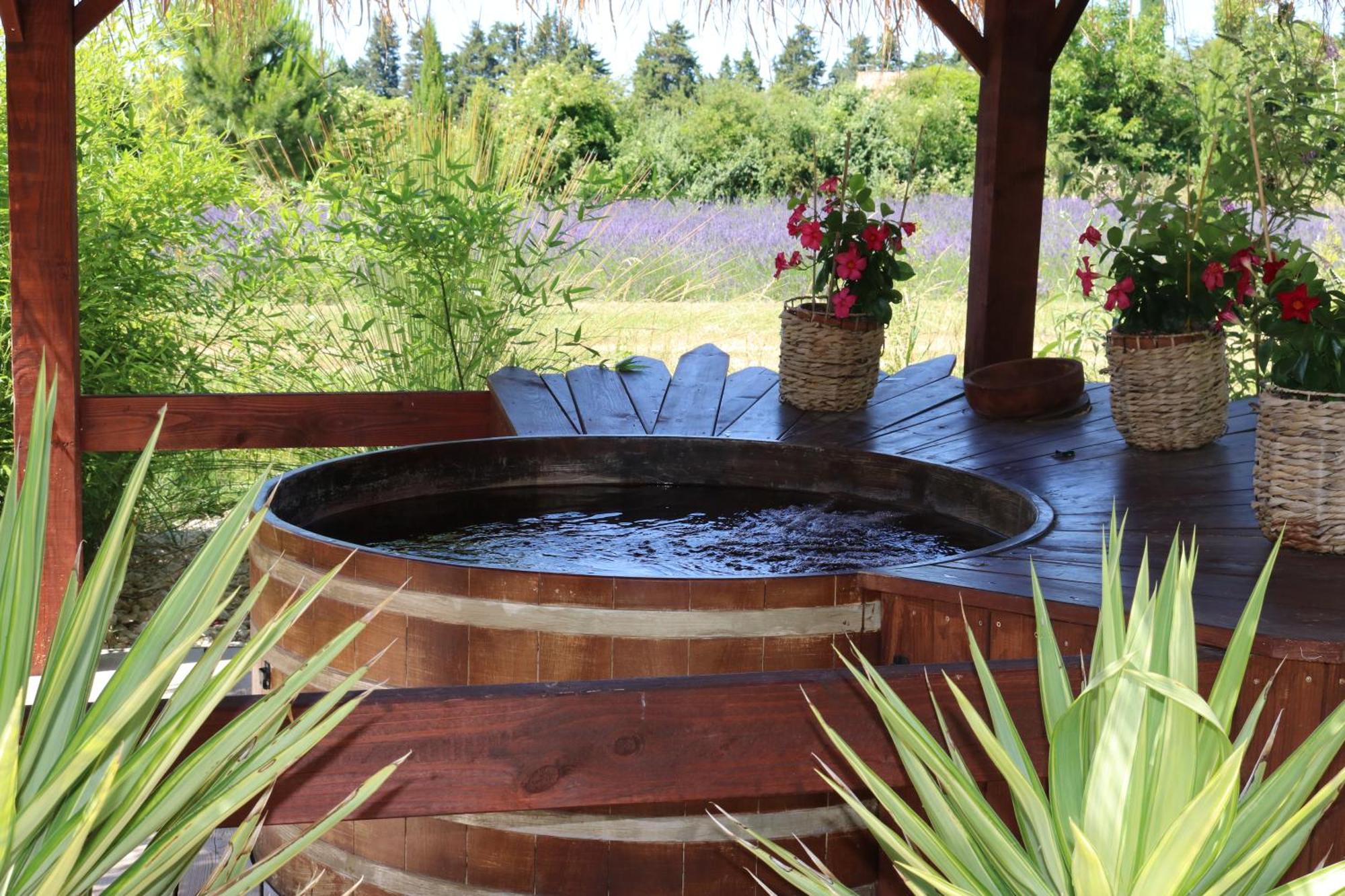 Lavand'Ange Et Spa Сариан Екстериор снимка