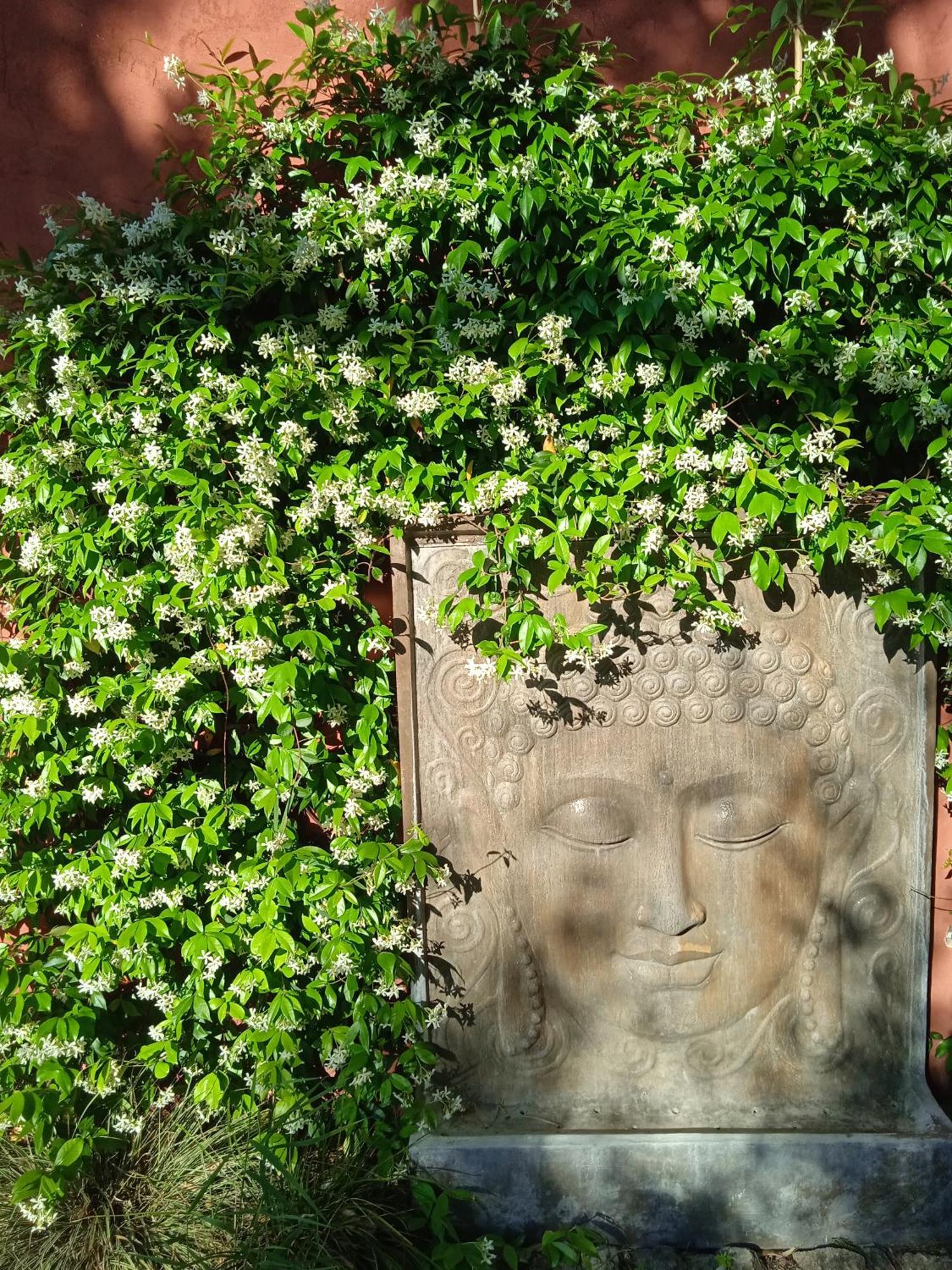 Lavand'Ange Et Spa Сариан Екстериор снимка